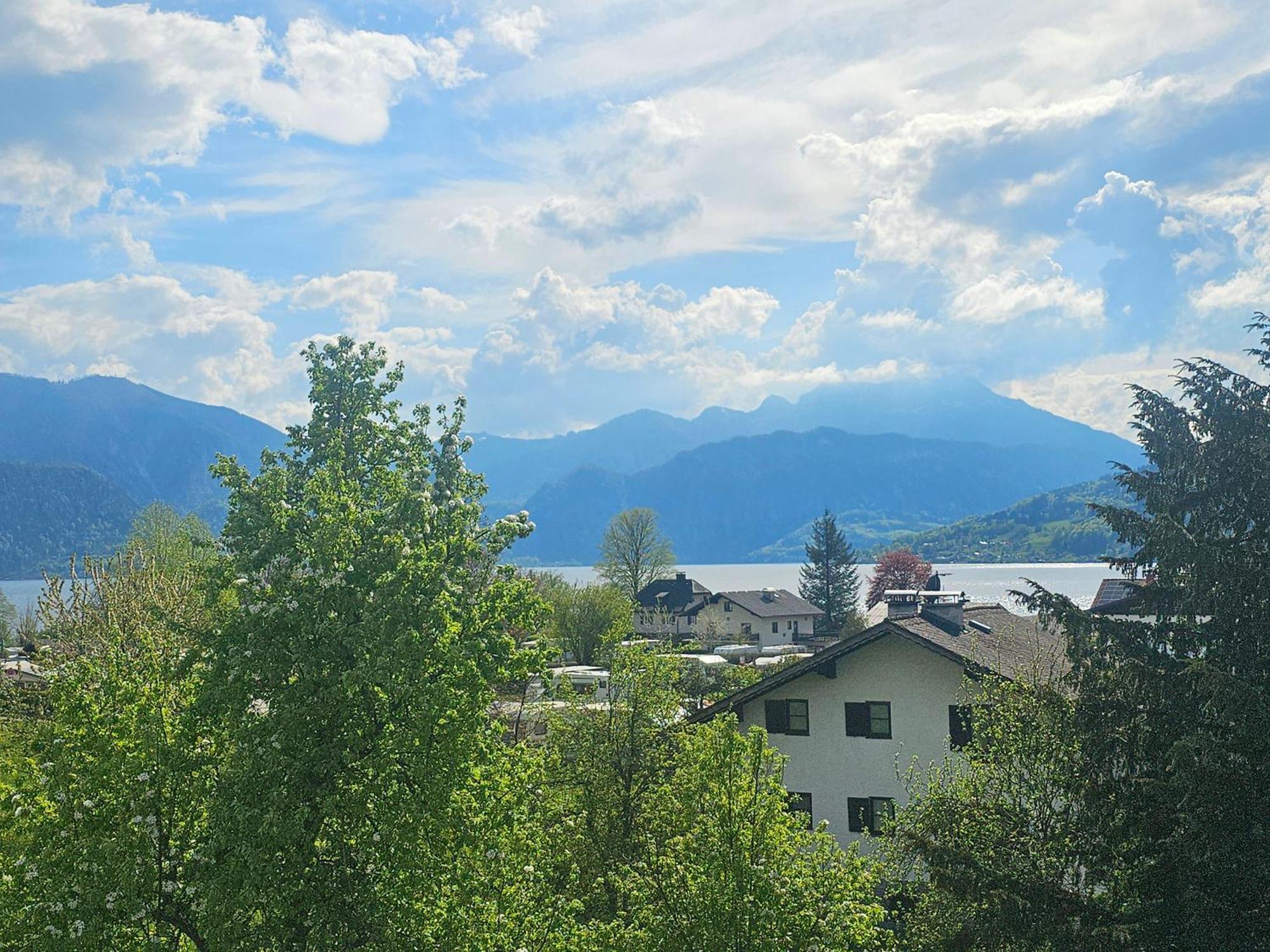 Ferienwohnung Attersee Steinbach am Attersee Dış mekan fotoğraf
